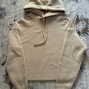 Aritzia Cashmere Hoodie Sweater